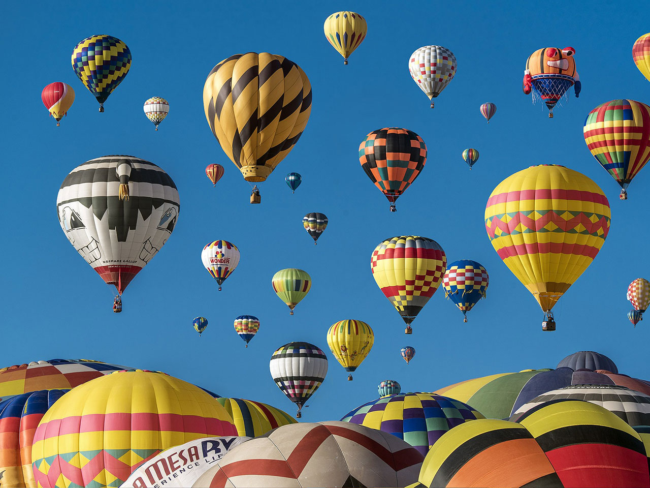 Δελτίο Τύπου 2